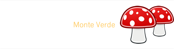 Kauffmann